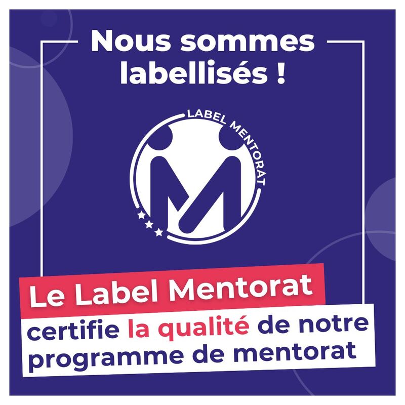 Télémaque obtient le niveau 3 du Label Mentorat !