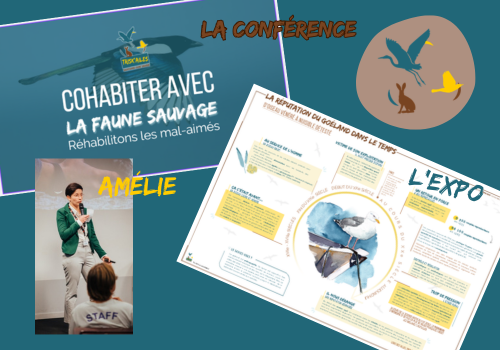 Une équipe engagée pour changer les regards