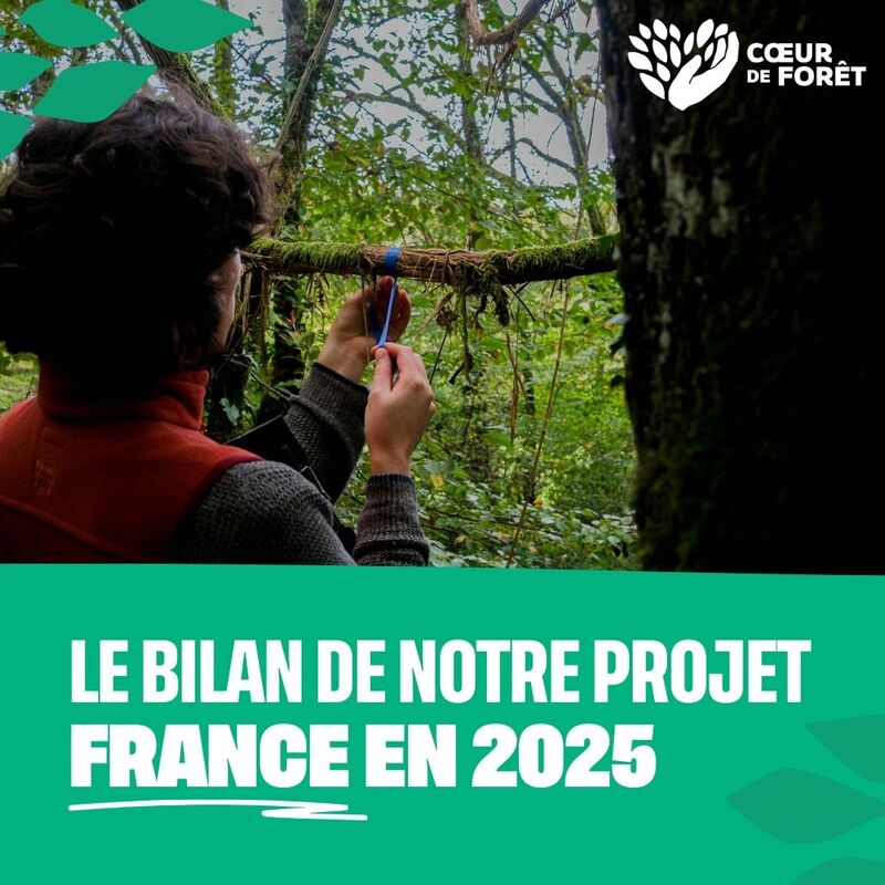 Le bilan de notre projet France en 2025