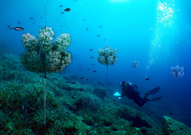 Financer la recherche pour préserver l'océan