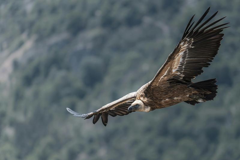 Et de 8 : une nouvelle réserve de 17 ha