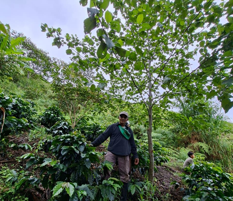 Support for Farmers: Edvin Vargas Araujo's Story