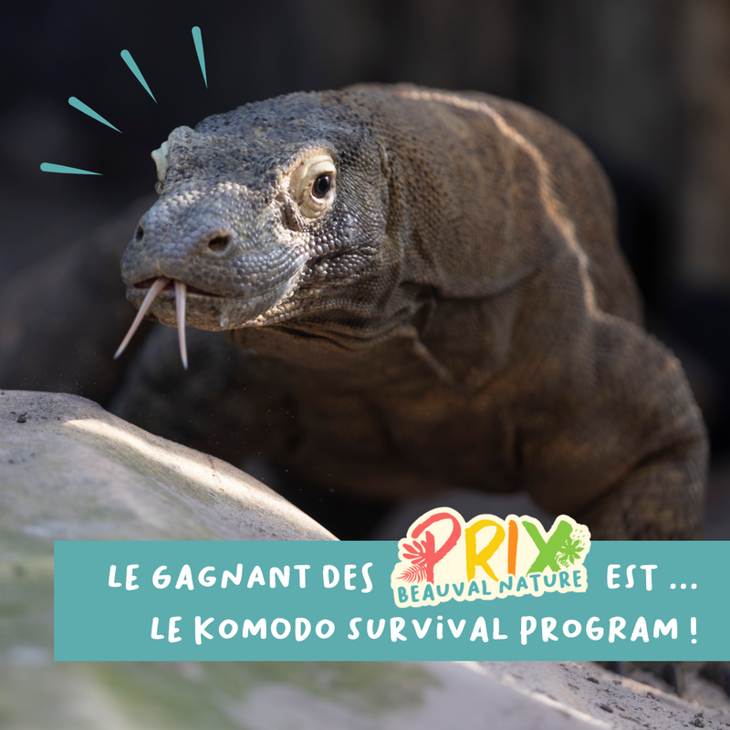 Et le grand gagnant est …